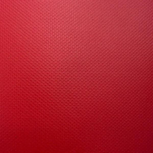 10'x16' Heavy Duty 10 oz Vinyl Tarp