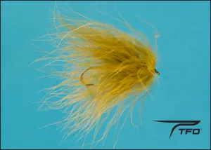 Gartside Leech - Olive
