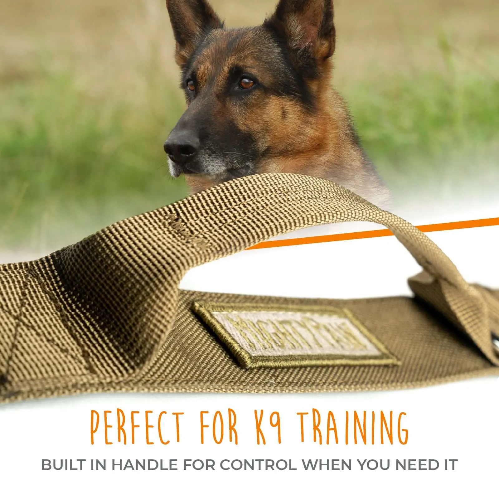 Heavy-Duty Tactical Collar