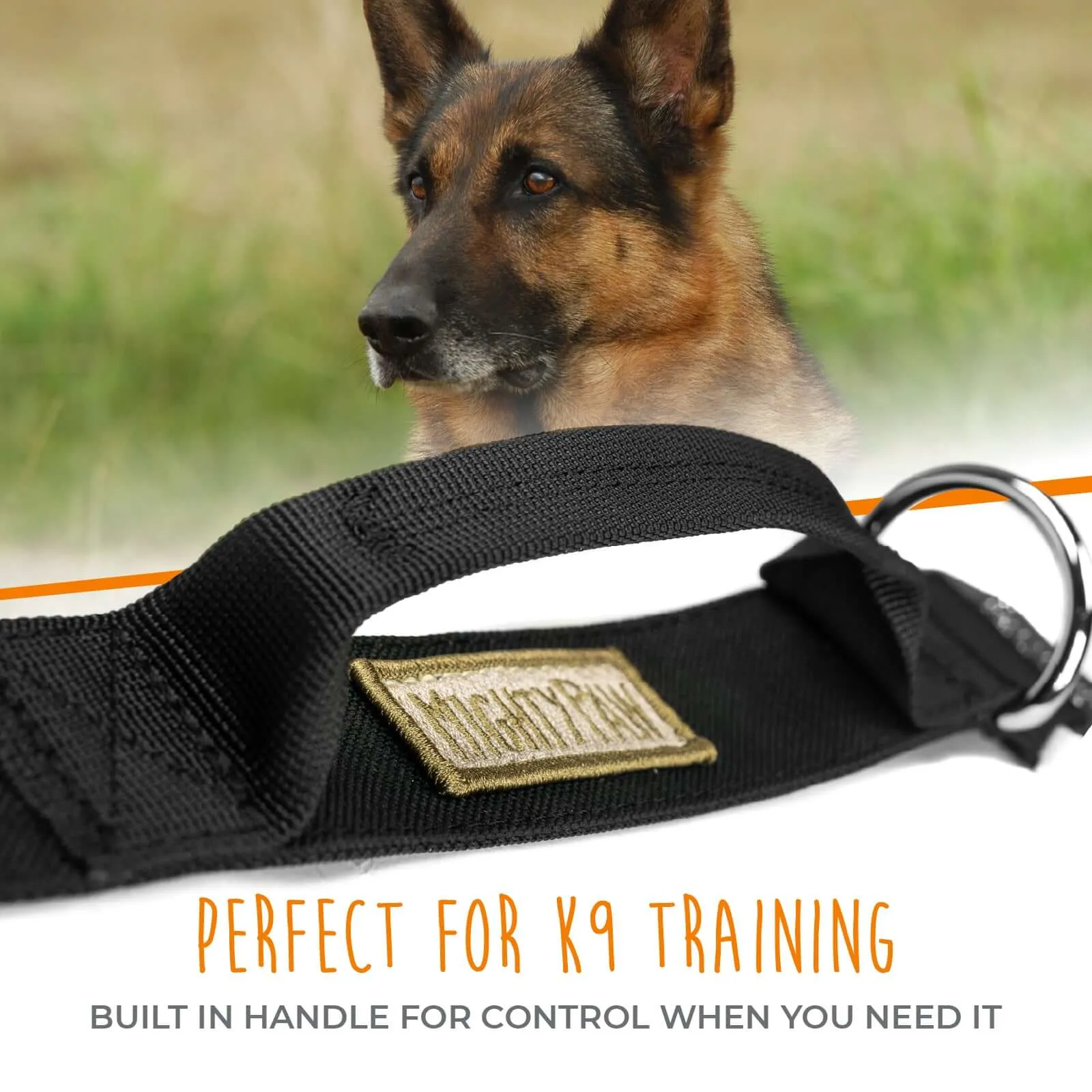 Heavy-Duty Tactical Collar