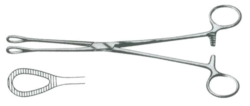 Leech Forceps for Handling