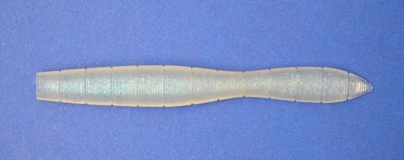 Leech