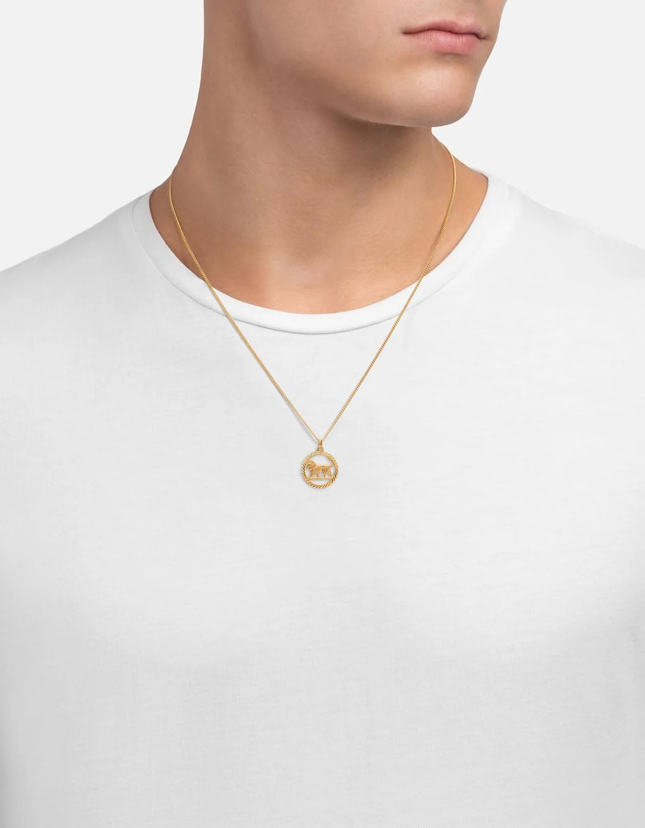 Lev Lion Necklace, Gold Vermeil