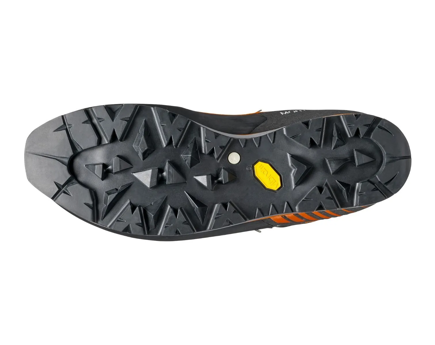 Men Mont Blanc Pro GTX