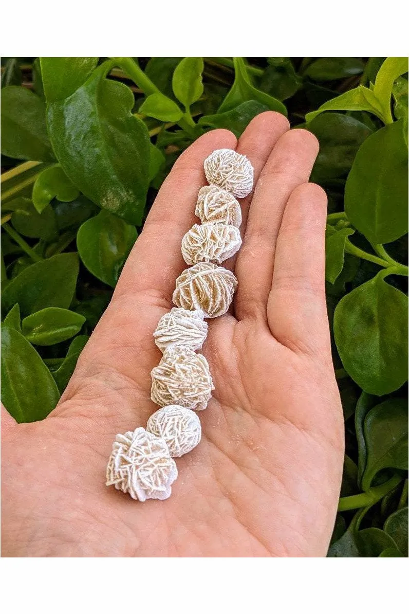 Mini Desert Rose Selenite Crystal - Energy boost 1 pc