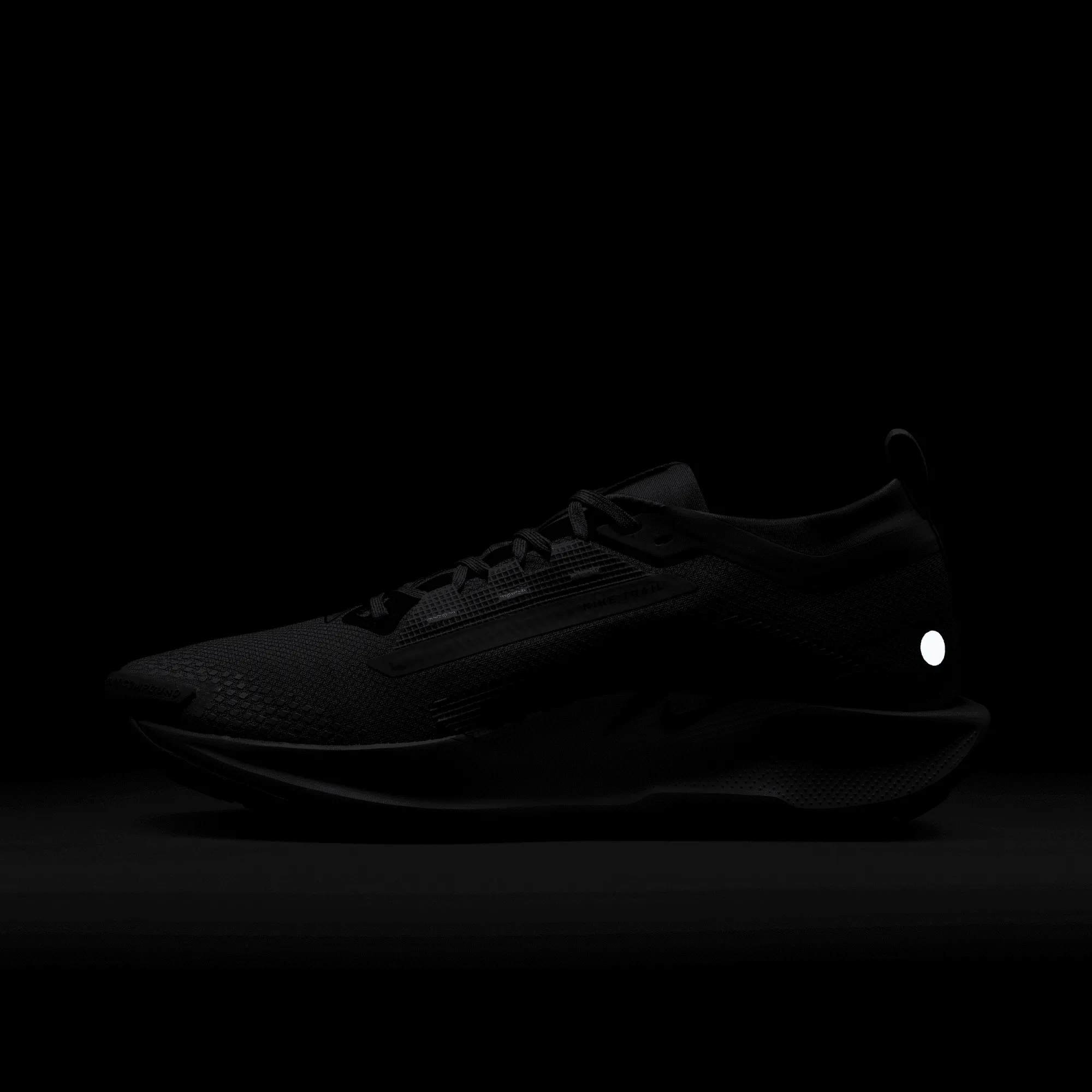 NIKE PEGASUS TRAIL 5 GORE-TEX MEN'S WATERPROOF TRAIL RUNNING SHOES